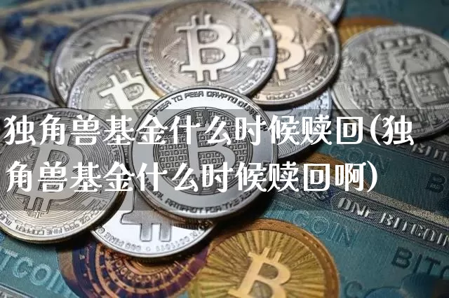独角兽基金什么时候赎回(独角兽基金什么时候赎回啊)_https://www.cangshenghg.com_创业板_第1张