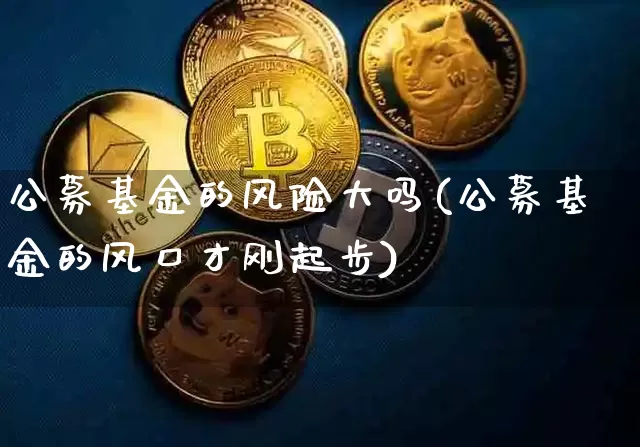 公募基金的风险大吗(公募基金的风口才刚起步)_https://www.cangshenghg.com_财经新闻_第1张