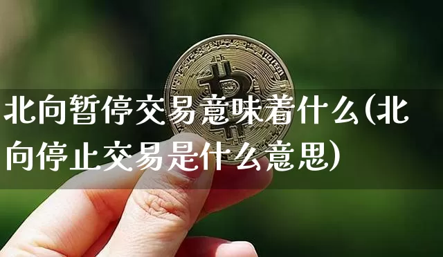 北向暂停交易意味着什么(北向停止交易是什么意思)_https://www.cangshenghg.com_创业板_第1张