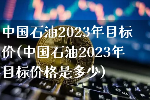 中国石油2023年目标价(中国石油2023年目标价格是多少)_https://www.cangshenghg.com_北交所_第1张