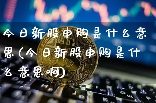 今日新股申购是什么意思(今日新股申购是什么意思啊)_https://www.cangshenghg.com_A股_第1张