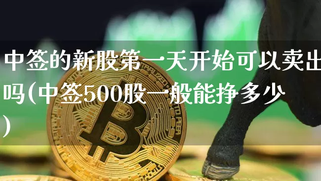 中签的新股第一天开始可以卖出吗(中签500股一般能挣多少)_https://www.cangshenghg.com_创业板_第1张