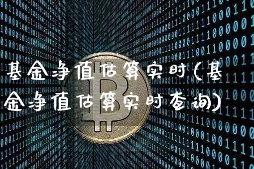 基金净值估算实时(基金净值估算实时查询)_https://www.cangshenghg.com_北交所_第1张