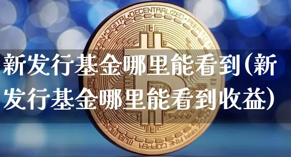 新发行基金哪里能看到(新发行基金哪里能看到收益)_https://www.cangshenghg.com_A股_第1张