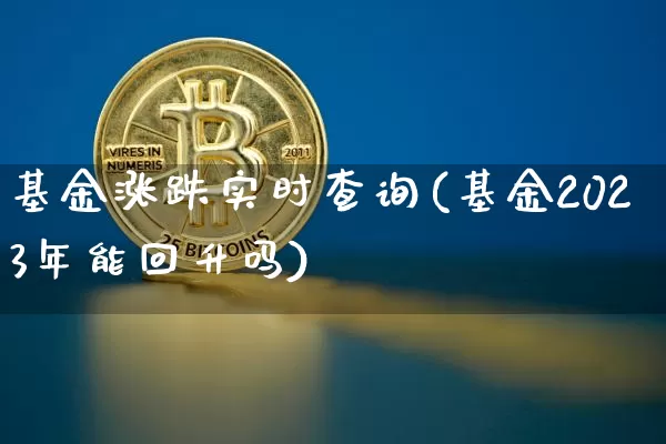 基金涨跌实时查询(基金2023年能回升吗)_https://www.cangshenghg.com_北交所_第1张