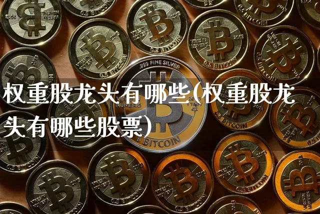权重股龙头有哪些(权重股龙头有哪些股票)_https://www.cangshenghg.com_科创板_第1张