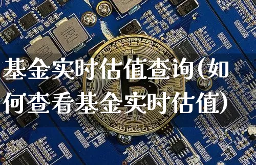 基金实时估值查询(如何查看基金实时估值)_https://www.cangshenghg.com_北交所_第1张