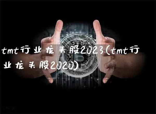 tmt行业龙头股2023(tmt行业龙头股2020)_https://www.cangshenghg.com_北交所_第1张