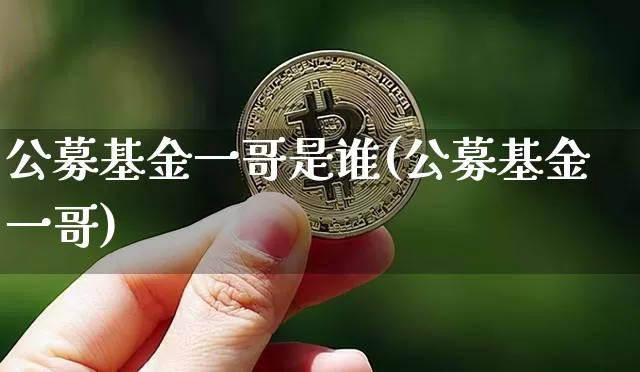 公募基金一哥是谁(公募基金一哥)_https://www.cangshenghg.com_财经新闻_第1张