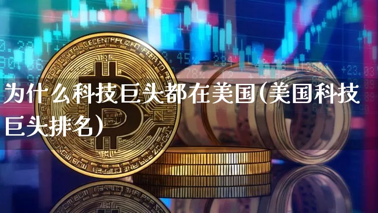为什么科技巨头都在美国(美国科技巨头排名)_https://www.cangshenghg.com_北交所_第1张