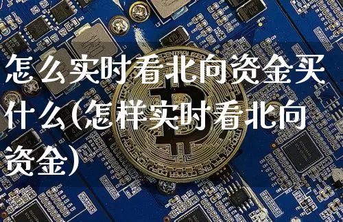 怎么实时看北向资金买什么(怎样实时看北向资金)_https://www.cangshenghg.com_创业板_第1张