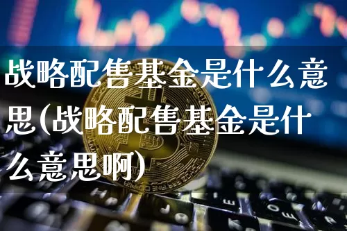 战略配售基金是什么意思(战略配售基金是什么意思啊)_https://www.cangshenghg.com_科创板_第1张