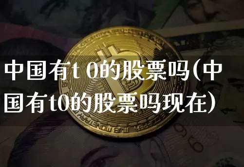 中国有t 0的股票吗(中国有t0的股票吗现在)_https://www.cangshenghg.com_创业板_第1张