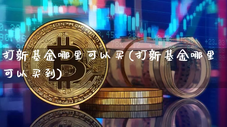打新基金哪里可以买(打新基金哪里可以买到)_https://www.cangshenghg.com_北交所_第1张