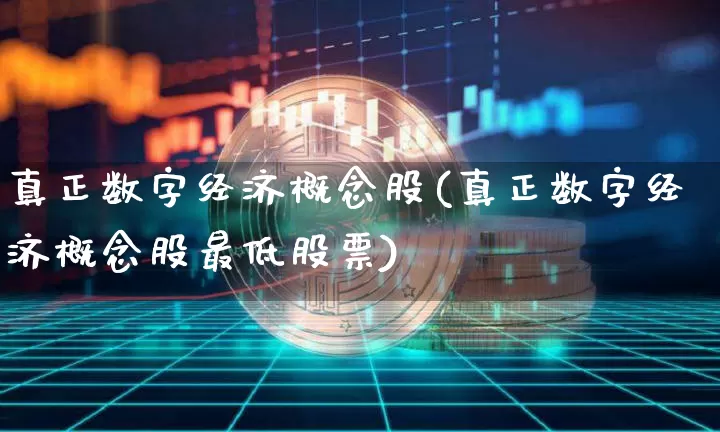 真正数字经济概念股(真正数字经济概念股最低股票)_https://www.cangshenghg.com_财经新闻_第1张