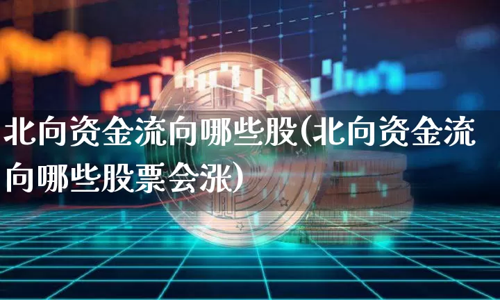 北向资金流向哪些股(北向资金流向哪些股票会涨)_https://www.cangshenghg.com_北交所_第1张