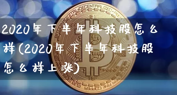 2020年下半年科技股怎么样(2020年下半年科技股怎么样上涨)_https://www.cangshenghg.com_创业板_第1张