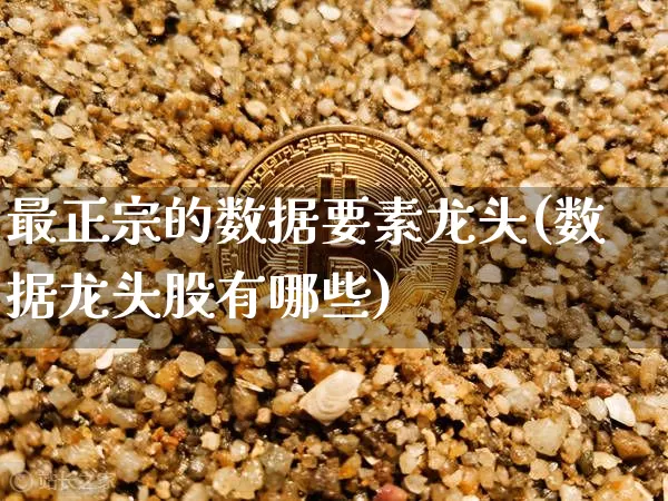 最正宗的数据要素龙头(数据龙头股有哪些)_https://www.cangshenghg.com_A股_第1张
