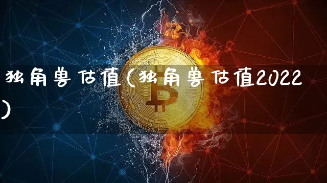 独角兽估值(独角兽估值2022)_https://www.cangshenghg.com_创业板_第1张