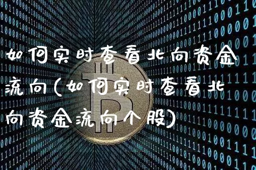 如何实时查看北向资金流向(如何实时查看北向资金流向个股)_https://www.cangshenghg.com_科创板_第1张