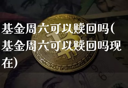 基金周六可以赎回吗(基金周六可以赎回吗现在)_https://www.cangshenghg.com_科创板_第1张