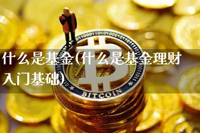 什么是基金(什么是基金理财入门基础)_https://www.cangshenghg.com_创业板_第1张