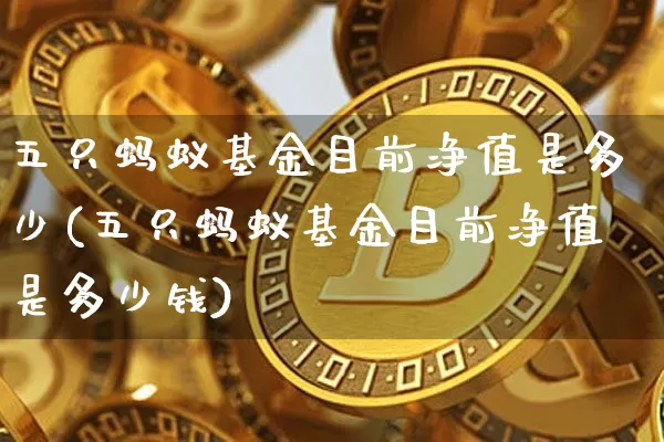 五只蚂蚁基金目前净值是多少(五只蚂蚁基金目前净值是多少钱)_https://www.cangshenghg.com_科创板_第1张