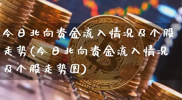 今日北向资金流入情况及个股走势(今日北向资金流入情况及个股走势图)_https://www.cangshenghg.com_科创板_第1张