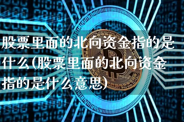 股票里面的北向资金指的是什么(股票里面的北向资金指的是什么意思)_https://www.cangshenghg.com_财经新闻_第1张