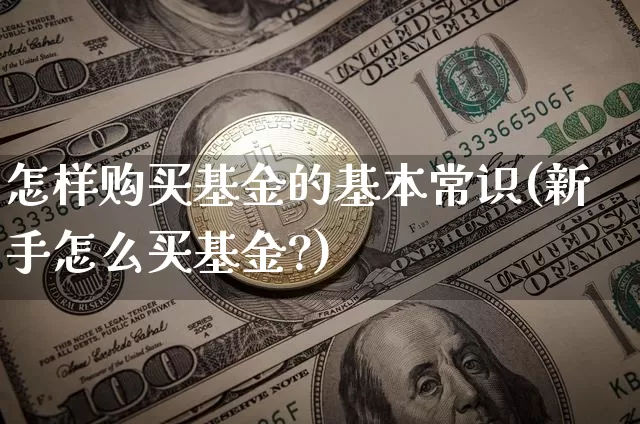 怎样购买基金的基本常识(新手怎么买基金?)_A股_第1张_华信财经网 怎样购买基金的基本常识(新手怎么买基金?)_https://www.cangshenghg.com_A股_第1张