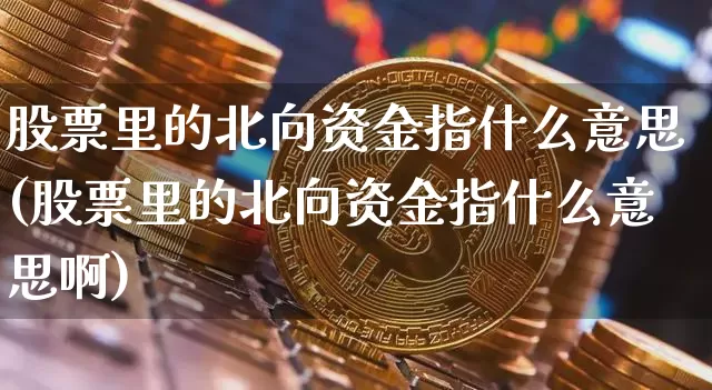 股票里的北向资金指什么意思(股票里的北向资金指什么意思啊)_https://www.cangshenghg.com_财经新闻_第1张