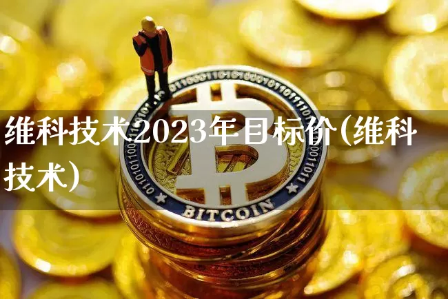 维科技术2023年目标价(维科技术)_https://www.cangshenghg.com_创业板_第1张