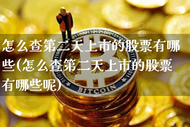 怎么查第二天上市的股票有哪些(怎么查第二天上市的股票有哪些呢)_https://www.cangshenghg.com_北交所_第1张