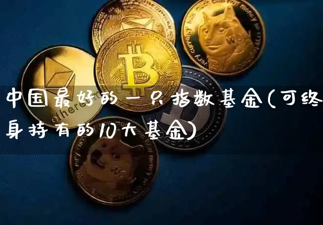 中国最好的一只指数基金(可终身持有的10大基金)_https://www.cangshenghg.com_科创板_第1张