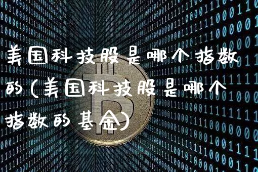 美国科技股是哪个指数的(美国科技股是哪个指数的基金)_https://www.cangshenghg.com_北交所_第1张