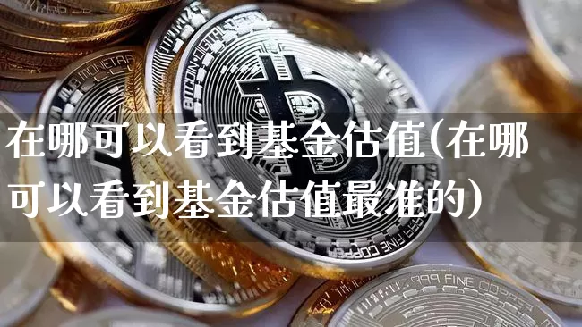 在哪可以看到基金估值(在哪可以看到基金估值最准的)_https://www.cangshenghg.com_创业板_第1张