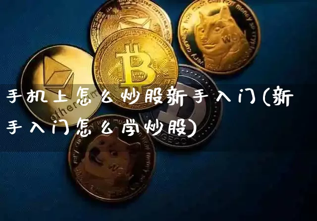 手机上怎么炒股新手入门(新手入门怎么学炒股)_https://www.cangshenghg.com_财经新闻_第1张