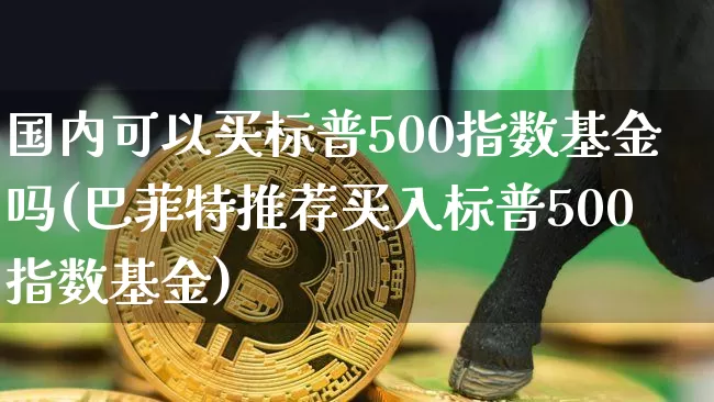 国内可以买标普500指数基金吗(巴菲特推荐买入标普500指数基金)_https://www.cangshenghg.com_北交所_第1张