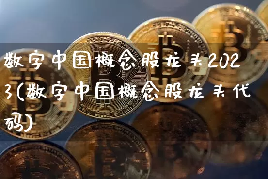 数字中国概念股龙头2023(数字中国概念股龙头代码)_https://www.cangshenghg.com_A股_第1张