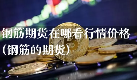 钢筋期货在哪看行情价格(钢筋的期货)_https://www.cangshenghg.com_财经新闻_第1张