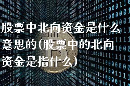 股票中北向资金是什么意思的(股票中的北向资金是指什么)_https://www.cangshenghg.com_科创板_第1张
