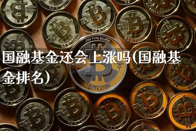 国融基金还会上涨吗(国融基金排名)_https://www.cangshenghg.com_科创板_第1张