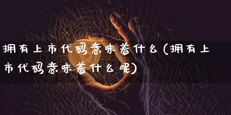 拥有上市代码意味着什么(拥有上市代码意味着什么呢)_https://www.cangshenghg.com_A股_第1张