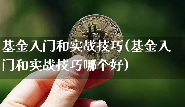 基金入门和实战技巧(基金入门和实战技巧哪个好)_https://www.cangshenghg.com_北交所_第1张