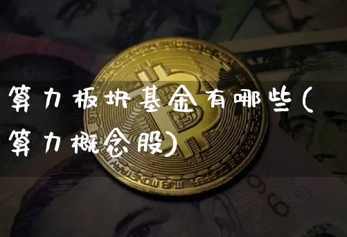 算力板块基金有哪些(算力概念股)_https://www.cangshenghg.com_北交所_第1张