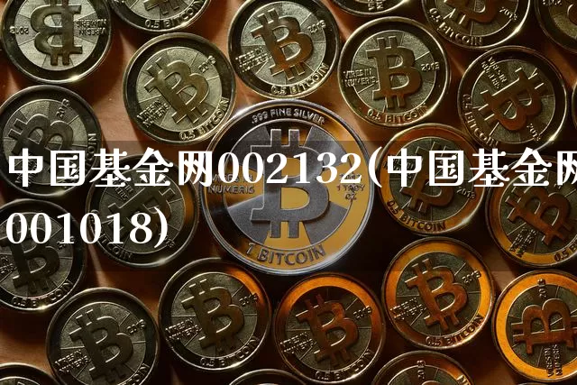 中国基金网002132(中国基金网001018)_https://www.cangshenghg.com_北交所_第1张