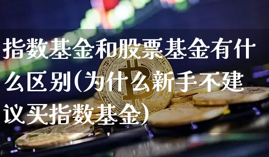 指数基金和股票基金有什么区别(为什么新手不建议买指数基金)_https://www.cangshenghg.com_科创板_第1张