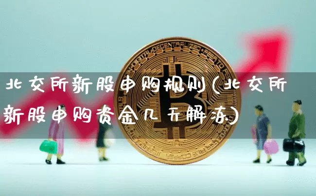 北交所新股申购规则(北交所新股申购资金几天解冻)_https://www.cangshenghg.com_创业板_第1张