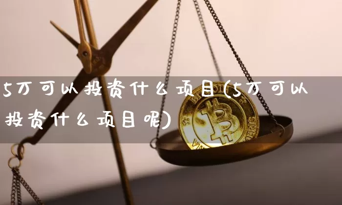 5万可以投资什么项目(5万可以投资什么项目呢)_https://www.cangshenghg.com_北交所_第1张