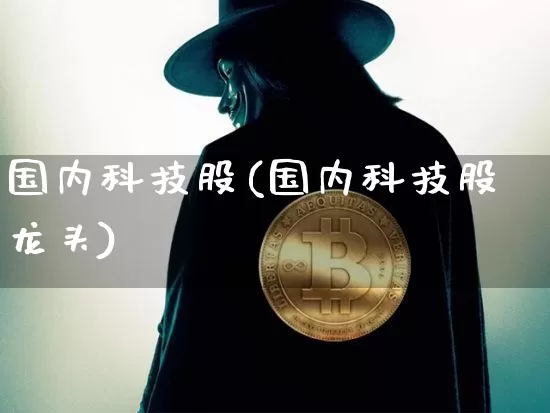 国内科技股(国内科技股龙头)_https://www.cangshenghg.com_北交所_第1张